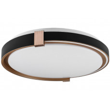 COLISEUM матовий 60W 395*60мм 3000К-6500К з ДК чорне золото