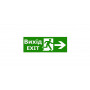 Наклейка "Вихід EXIT (вказівник двері праворуч)" 320*115мм TNSy