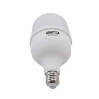 Лампа светодиодная LED Bulb-T100-30W-E27-220V-4000K-2700L ICCD
