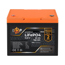 Аккумулятор LP LiFePO4 12,8V - 60 Ah (768Wh) (BMS 50A/25А) пластик для ИБП