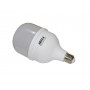 Лампа светодиодная LED Bulb-T100-30W-E27-220V-4000K-2700L ICCD
