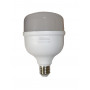 Лампа светодиодная LED Bulb-T100-30W-E27-220V-6500K-2700L ICCD