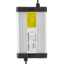 Зарядний пристрій для акумуляторів LiFePO4 36V (43.8V)-10A-360W