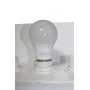 Лампа світлодіодна LED Bulb-A60-12W-E27-220V-6500K-1100L SILVER TNSy
